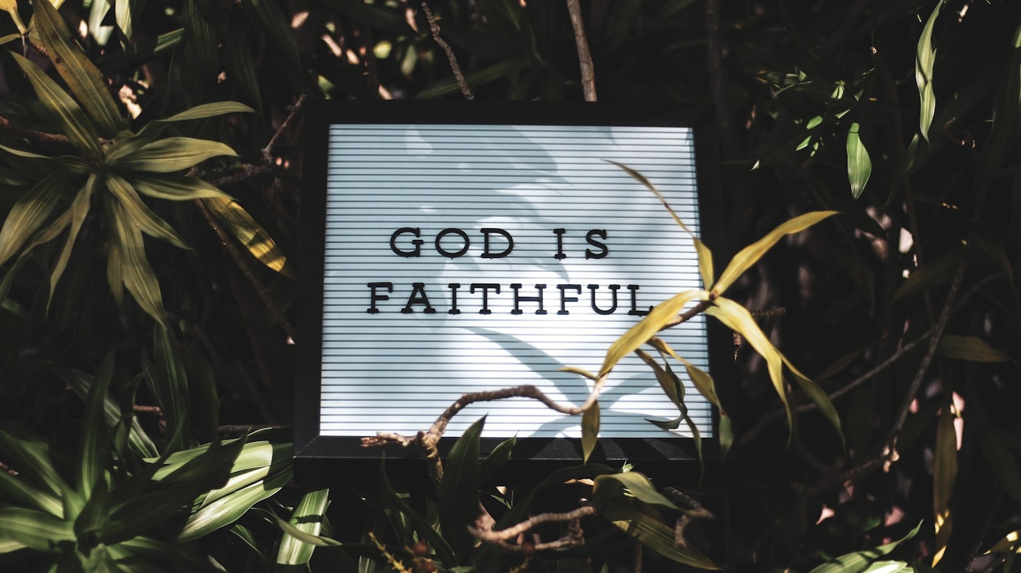 How Faith Drives Creative Innovation in Entertainment